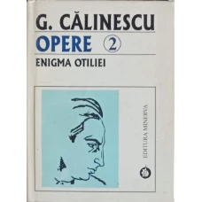 OPERE 2: ENIGMA OTILIEI