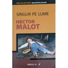 SINGUR PE LUME
