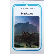 IN RAZBOI