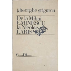 DE LA MIHAI EMINESCU LA NICOLAE LABIS
