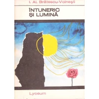 INTUNERIC SI LUMINA