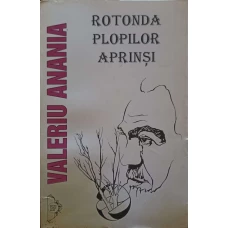 ROTONDA PLOPILOR APRINSI