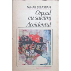 ORASUL CU SALCAMI. ACCIDENTUL