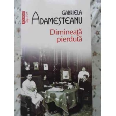 DIMINEATA PIERDUTA