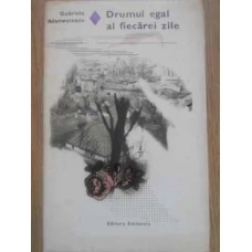 DRUMUL EGAL AL FIECAREI ZILE