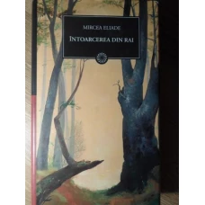 INTOARCEREA DIN RAI