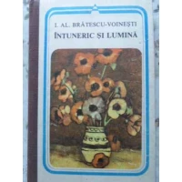 INTUNERIC SI LUMINA