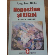 NEGOSTINA SI ELIZEI ROMANUL UNEI IUBIRI
