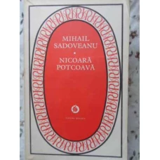 NICOARA POTCOAVA