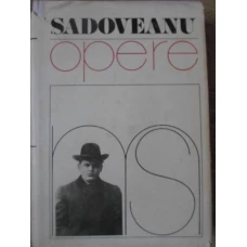OPERE 4 MORMANTUL UNUI COPIL. LA NOI IN VIISOARA. VREMURI DE BEJENIE