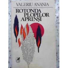 ROTONDA PLOPILOR APRINSI