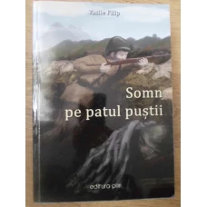 SOMN PE PATUL PUSTII