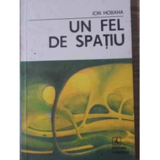 UN FEL DE SPATIU