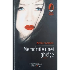MEMORIILE UNEI GHEISE