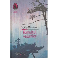 TUMULTUL VALURILOR