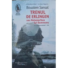 TRENUL DE ERLINGEN SAU METAMORFOZA LUI DUMNEZEU
