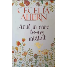 ANUL IN CARE TE-AM INTALNIT