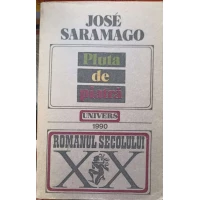 PLUTA DE PIATRA PLUTA DE PIATRA