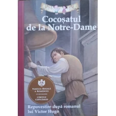COCOSATUL DE LA NOTRE-DAME. REPOVESTIRE DE DEANNA MCFADDEN DUPA ROMANUL LUI VICTOR HUGO