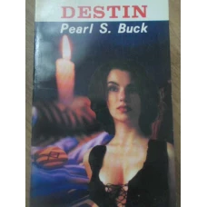 DESTIN. DESTINUL UNEI MAME
