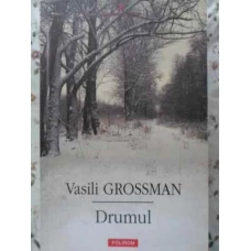 DRUMUL