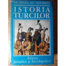 ISTORIA TURCILOR