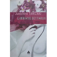 LABIRINTUL DESTINULUI