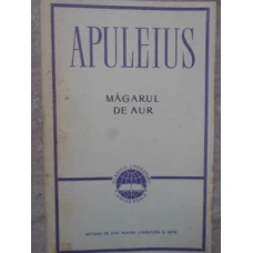 MAGARUL DE AUR