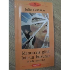 MANUSCRIS GASIT INTR-UN BUZUNAR SI ALTE POVESTIRI
