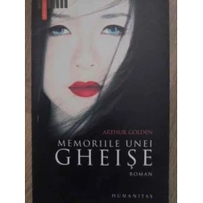 MEMORIILE UNEI GHEISE