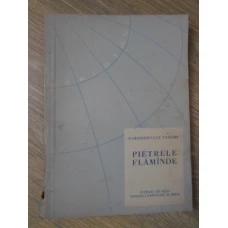 PIETRELE FLAMANDE