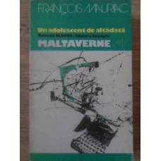 UN ADOLESCENT DE ALTADATA. MALTAVERNE