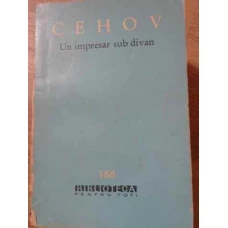 UN IMPRESAR SUB DIVAN