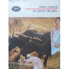 UN PUMN DE GRAU