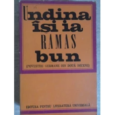 UNDINA ISI IA RAMAS BUN. POVESTIRI GERMANE DIN DOUA DECENII