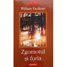 ZGOMOTUL SI FURIA