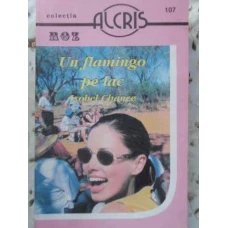UN FLAMINGO PE LAC 107