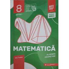 MATEMATICA ALGEBRA, GEOMETRIE, CLASA A VIII-A, PARTEA 1