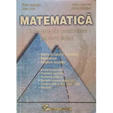 MATEMATICA. CULEGERE DE PROBLEME PENTRU LICEU