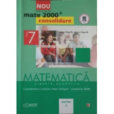 MATEMATICA ALGEBRA, GEOMETRIE, CLASA 7 PARTEA 2