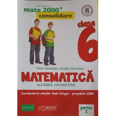 MATEMATICA: ALGEBRA, GEOMETRIE, CLASA 6, PARTEA 1