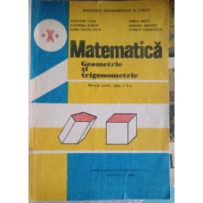 MATEMATICA. GEOMETRIE SI TRIGONOMETRIE. MANUAL PENTRU CLASA A X-A