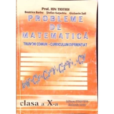 PROBLEME DE MATEMATICA - CLASA A X-A