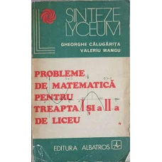 PROBLEME DE MATEMATICA PENTRU TREAPTA I SI A II-A DE LICEU VOL.1