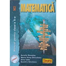 MATEMATICA. MANUAL PENTRU CLASA A X-A M2