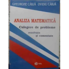 ANALIZA MATEMATICA. CULEGERE DE PROBLEME REZOLVATE SI COMENTATE
