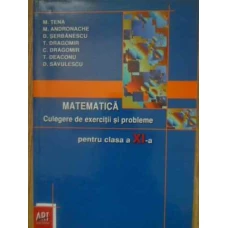 MATEMATICA CULEGERE DE EXERCITII SI PROBLEME PENTRU CLASA A XI-A
