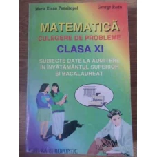 MATEMATICA CULEGERE DE PROBLEME CLASA XI