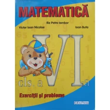 MATEMATICA. EXERCITII SI PROBLEME CLASA A VI-A