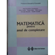 MATEMATICA PENTRU ANUL DE COMPLETARE